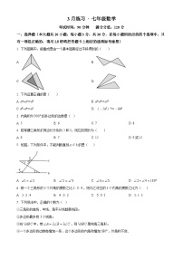 江苏省无锡市积余实验学校2023-2024学年七年级下学期3月月考数学试题（原卷版+解析版）