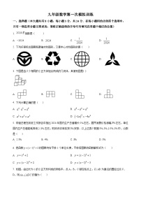 2024年江苏省徐州市树人初级中学中学数学一模模拟试题（原卷版+解析版）