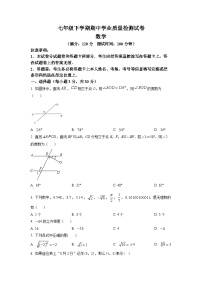 河南省安阳市汤阴县2022-2023学年七年级下学期期中 数学试题（解析版）