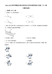 河南省开封市龙亭区立洋外国语学校2022-2023学年七年级下学期期中 数学试题(解析版)