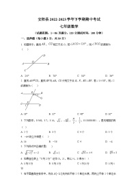 河南省安阳市安阳县2022-2023学年七年级下学期期中 数学试题(解析版)