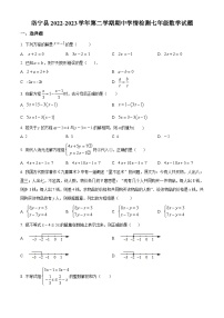 河南省洛阳市洛宁县2022-2023学年七年级下学期期中 数学试题（解析版）