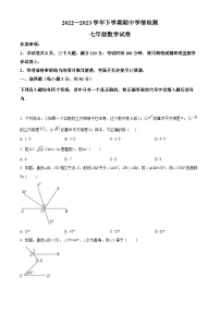 河南省三门峡市渑池县2022-2023学年七年级下学期期中 数学试题（解析版）