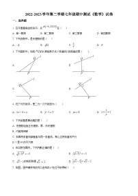 河南省新乡市牧野区河南师范大学附属中学2022-2023学年七年级下学期期中 数学试题（解析版）