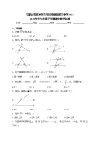 内蒙古巴彦淖尔市乌拉特前旗第三中学2022-2023学年七年级下学期期中数学试卷(含答案)