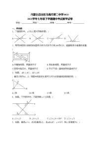 内蒙古自治区乌海市第二中学2022-2023学年七年级下学期期中考试数学试卷(含答案)