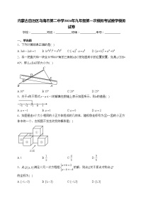内蒙古自治区乌海市第二中学2024年九年级第一次模拟考试数学模拟试卷(含答案)