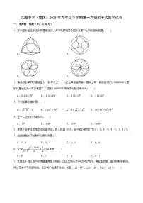 广东省珠海市文园中学（集团）2024年九年级下学期第一次模拟考试数学试卷