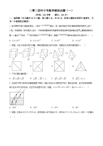 2024年山东省菏泽市单县湖西学校中考一模考试数学模拟试题（原卷版+解析版）