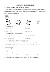 江苏省常州市溧阳市2023-2024学年七年级下学期期中数学试题（原卷版+解析版）