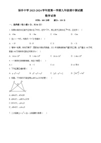 海南省省直辖县级行政单位保亭黎族苗族自治县保亭中学2023-2024学年九年级上学期期中数学试题（原卷版+解析版）