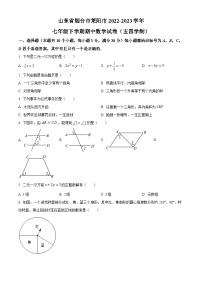 山东省烟台市莱阳市2022-2023学年七年级下学期期中数学试题（原卷版+解析版）