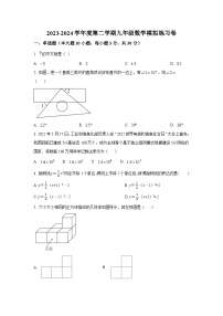 广东省汕头市龙湖区汕头经济特区林百欣中学2023-2024学年九年级下学期数学模拟练习题