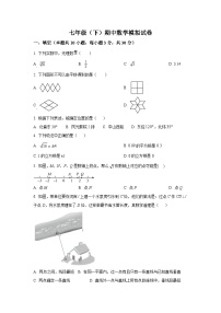 广东省汕头市2023-2024学年七年级下学期期中数学模拟试题