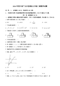 2024年四川省广元市苍溪县中考二模数学模拟试题（原卷版+解析版）