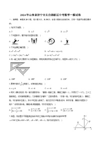 2024年山东省济宁市太白湖新区中考数学一模试卷（含解析）