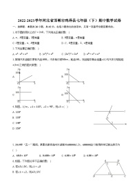 2022-2023学年河北省邯郸市鸡泽县七年级（下）期中数学试卷（含解析）