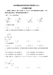 山东省临沂市临沂商城实验学校2023-2024学年七年级下学期3月月考数学试题（原卷版+解析版）