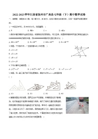 2022-2023学年江西省抚州市广昌县七年级（下）期中数学试卷（含解析）