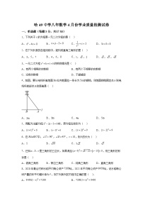 黑龙江省哈尔滨市第四十九中学校2023-2024学年八年级下学期月考数学试题（含解析）