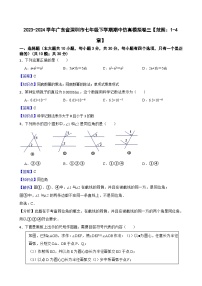 2023-2024学年广东省深圳市七年级下学期期中仿真模拟卷三