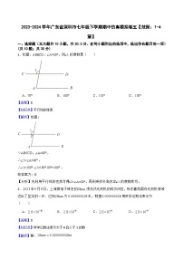 2023-2024学年广东省深圳市七年级下学期期中仿真模拟卷五