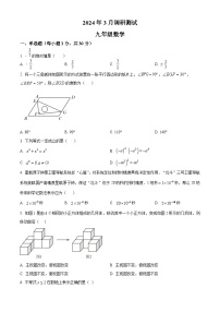 河南省安阳市昼锦中学2023-2024学年九年级下学期3月月考数学试题（原卷版+解析版）