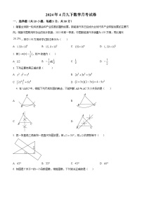 山东省临沂市沂水县第四实验中学（第六实验小学）2023-2024学年九年级下学期4月月考数学试题（原卷版+解析版）