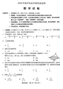 2024年河北省石家庄市新华区九年级下学期第一次模拟考试数学试卷