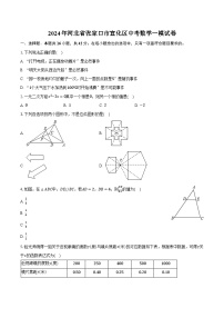 2024年河北省张家口市宣化区中考数学一模试卷（含解析）