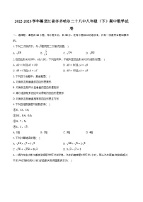 2022-2023学年黑龙江省齐齐哈尔二十八中八年级（下）期中数学试卷（含解析）