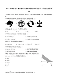 2022-2023学年广东省佛山市南海实验中学八年级（下）期中数学试卷（含解析）