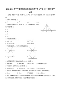 2022-2023学年广东省深圳市龙岗区沙湾中学七年级（下）期中数学试卷（含解析）