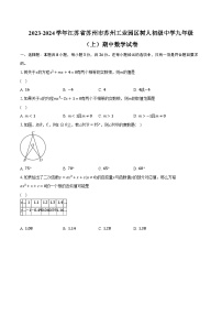 2023-2024学年江苏省苏州市苏州工业园区树人初级中学九年级（上）期中数学试卷（含解析）