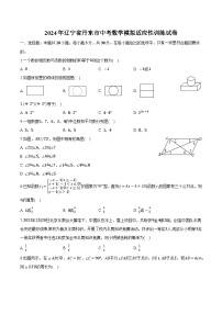 辽宁省丹东市2024届九年级上学期中考一模适应性训练数学试卷(含解析)