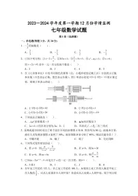 山东省济宁市金乡县2023-2024学年七年级上学期12月月考数学试卷(含答案)