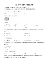 2024年安徽省合肥市蜀山区九年级中考+数学模拟试题+