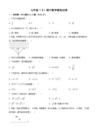 广西南宁市横州市2023-2024学年七年级下学期期中数学模拟试题+