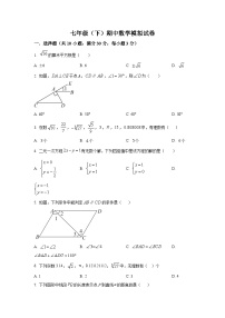 广东省汕头市+2023-—2024学年七年级下学期期中数学模拟试题