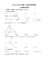 河南省漯河市郾城区郾城区第二初级实验中学2023-2024学年七年级下学期4月月考数学试题（原卷版+解析版）