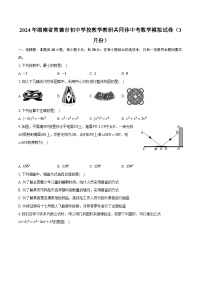 2024年湖南省常德市初中学校教学教研共同体中考数学模拟试卷（3月份）（含解析）
