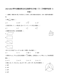 2023-2024学年安徽省淮北市五校联考九年级（下）月考数学试卷（3月份）（含解析）