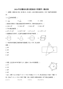 2024年安徽省合肥市肥西县中考数学一模试卷（含解析）