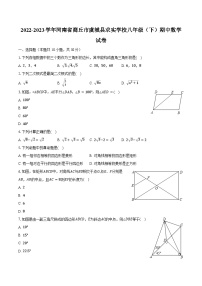 2022-2023学年河南省商丘市虞城县求实学校八年级（下）期中数学试卷（含解析）