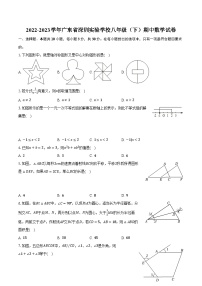 2022-2023学年广东省深圳实验学校八年级（下）期中数学试卷(含解析）