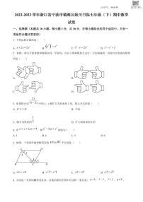 浙江省宁波市镇海区镇海蛟川书院七年级下学期期中数学试题（原卷）