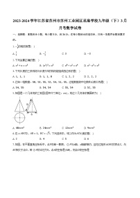 2023-2024学年江苏省苏州市苏州工业园区星港学校九年级（下）3月月考数学试卷(含解析）