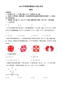 2024年河南省商丘实验中学九年级中考一模考试数学模拟试题（原卷版+解析版）