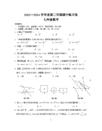 江苏省南京市联合体2023-2024学年七年级下学期数学期中练习卷