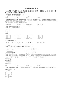 2024年安徽省合肥市第四十五中学本部中考一模数学试题